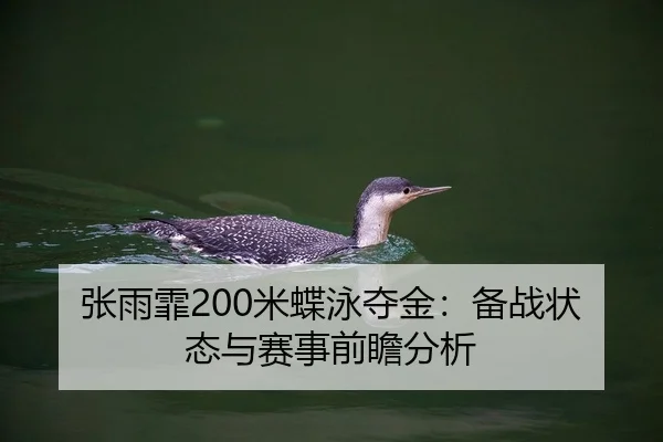 张雨霏200米蝶泳夺金：备战状态与赛事前瞻分析